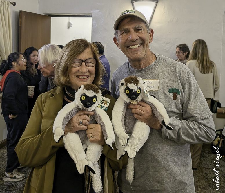 ivohiboro movie sreening